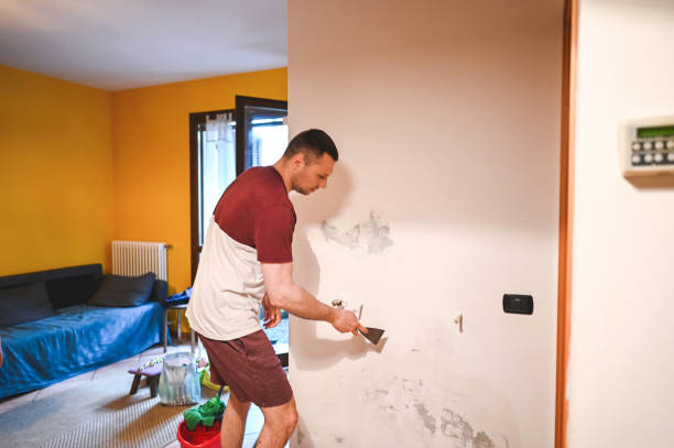 Best Mold Testing  in Foster City, CA