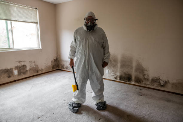 Best Professional Mold Removal  in Foster City, CA